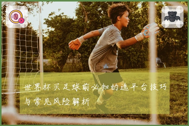 世界杯买足球前必知的选平台技巧与常见风险解析